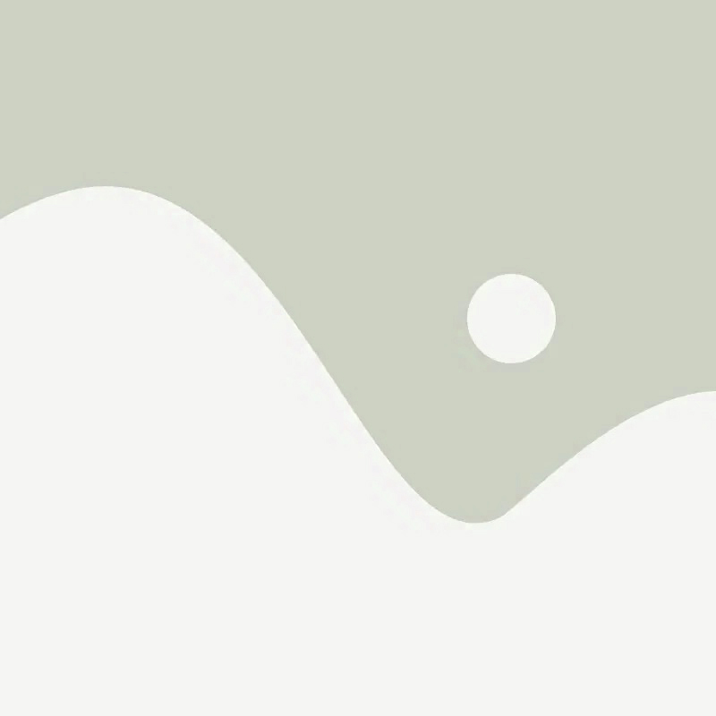 placeholder image alterative